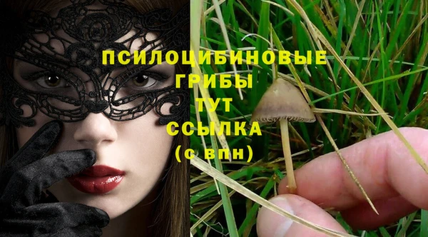 не бодяженный Верея