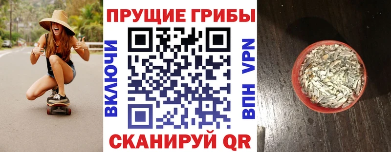 Псилоцибиновые грибы прущие грибы  цены наркотик  Верея 